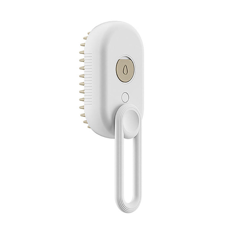 ZHUPE™ Electric Steam Brush