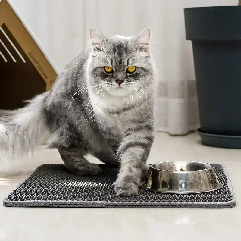 Durable and washable cat litter mat designed for long-term use and minimal maintenance