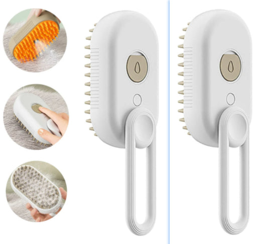ZHUPE™ Electric Steam Brush